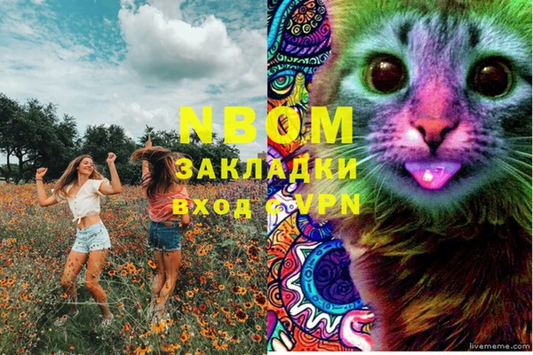 твердый Майский