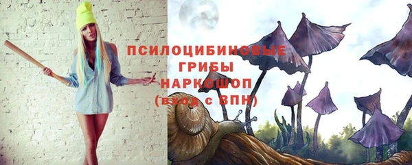 твердый Майский